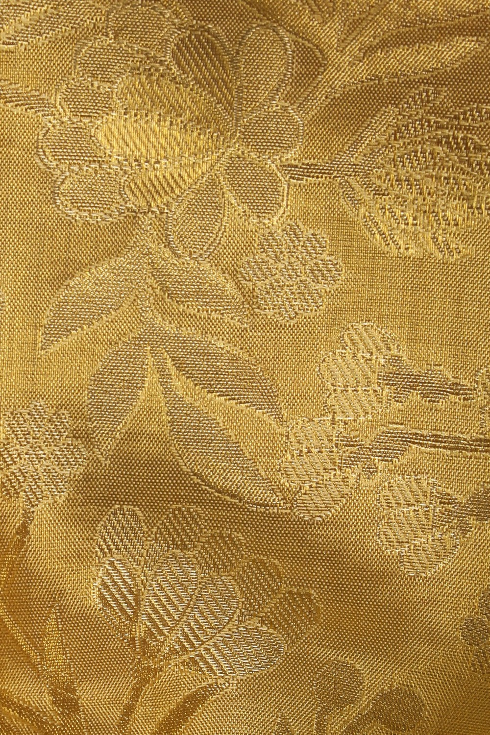 Image of Gold Tissue Brocade Kanchipattu Saree